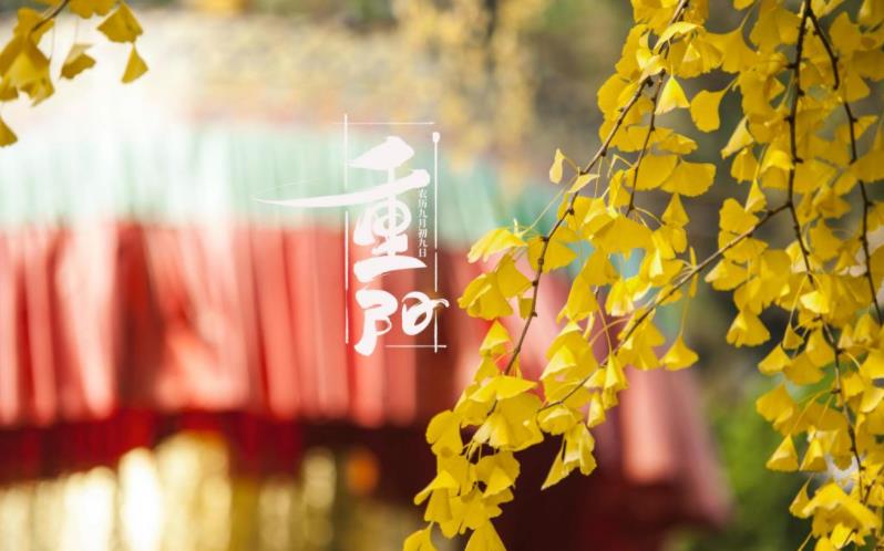 金秋送爽，心暖重陽。祝您重陽愉快，闔家歡樂，福壽安康！